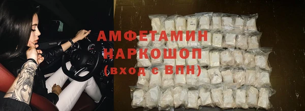 хмурый Алексин