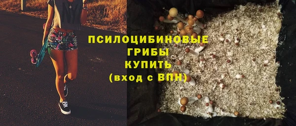 ешки Алзамай