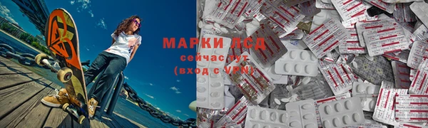 хмурый Алексин