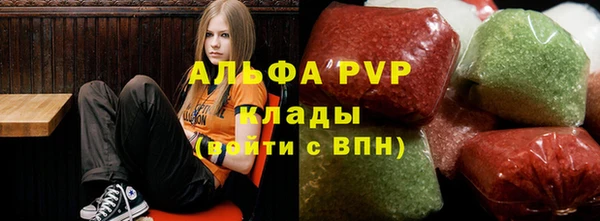 хмурый Алексин