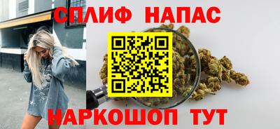индика Гай