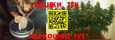 индика Гай