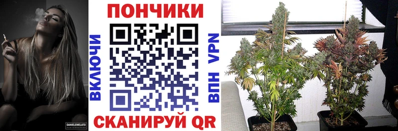 Конопля марихуана Котельники